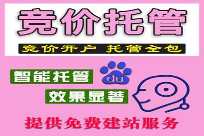 探索SEM竞价专员的技能要求与成功案例