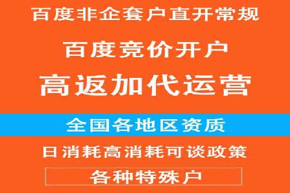 某品牌通过百度竞价提升线上销售业绩的案例